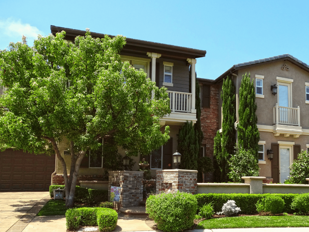 How to Pick The Right Trees for Your Yard or Landscape Project