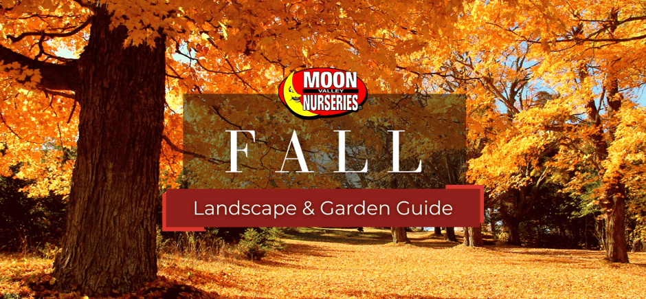 Fall Landscape & Garden Guide header