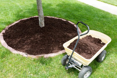 mulch in landscape moon valley nurseries