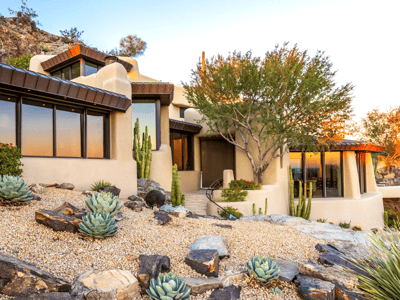 Paradise valley landscape with ironwood