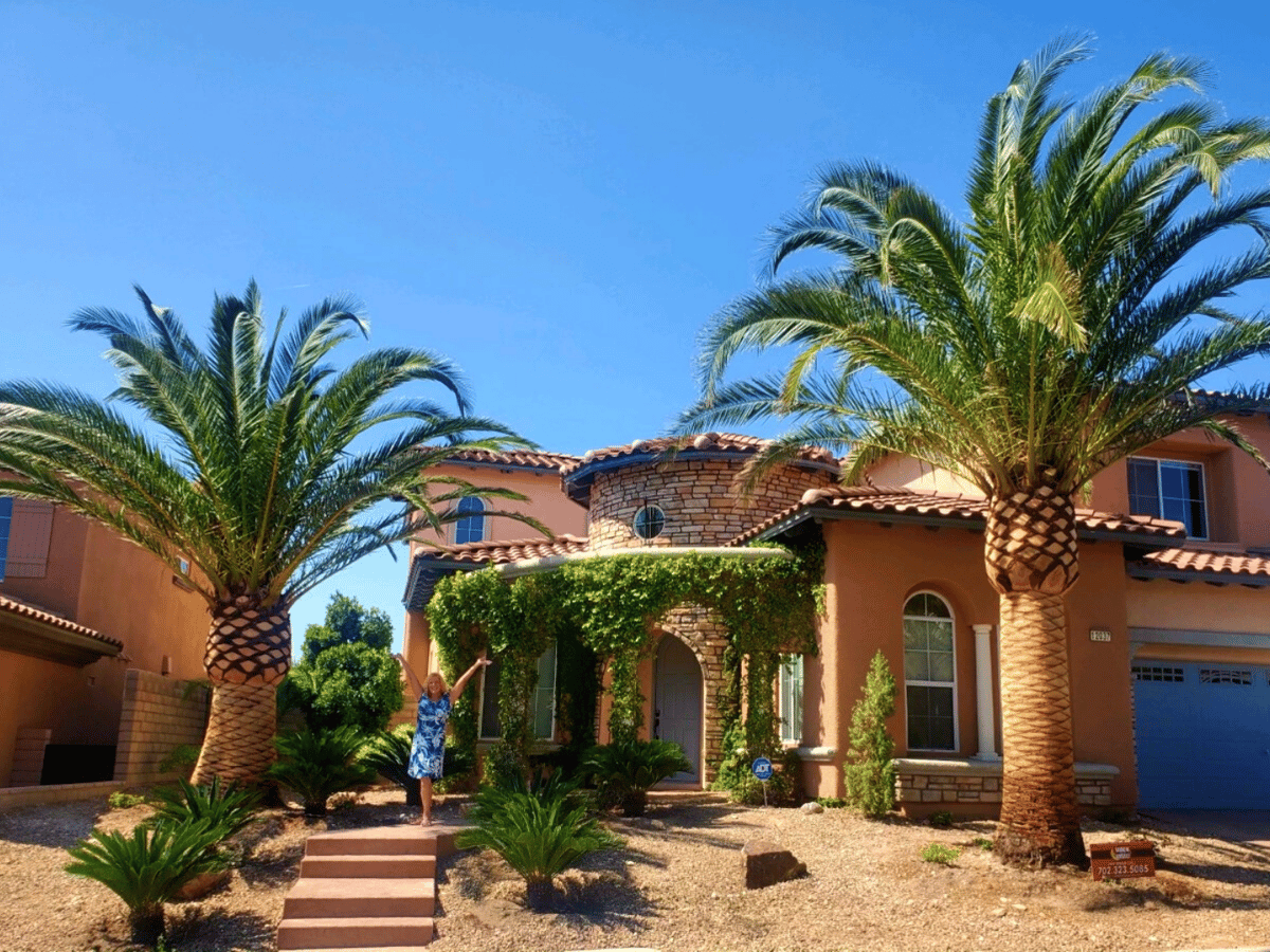 The Top 10 Palm Trees for Arizona & Where to Plant Them!