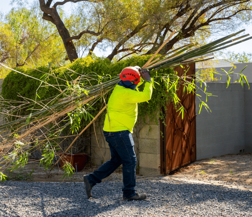 Rooted in Sustainability Moon Valley's Tree Recycling Journey