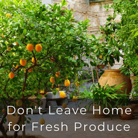 Don't leave home for fresh produce