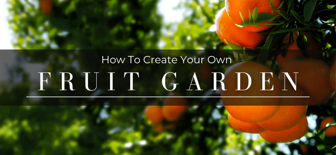 How to create your own fruit garden