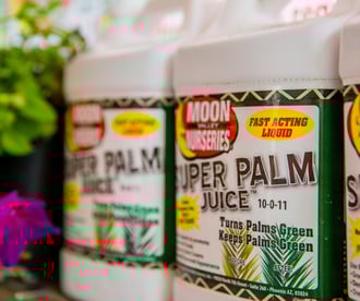 Super Palm Juice!