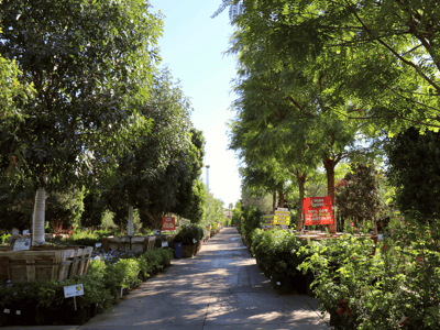 Nursery tour at moon valley nurseries