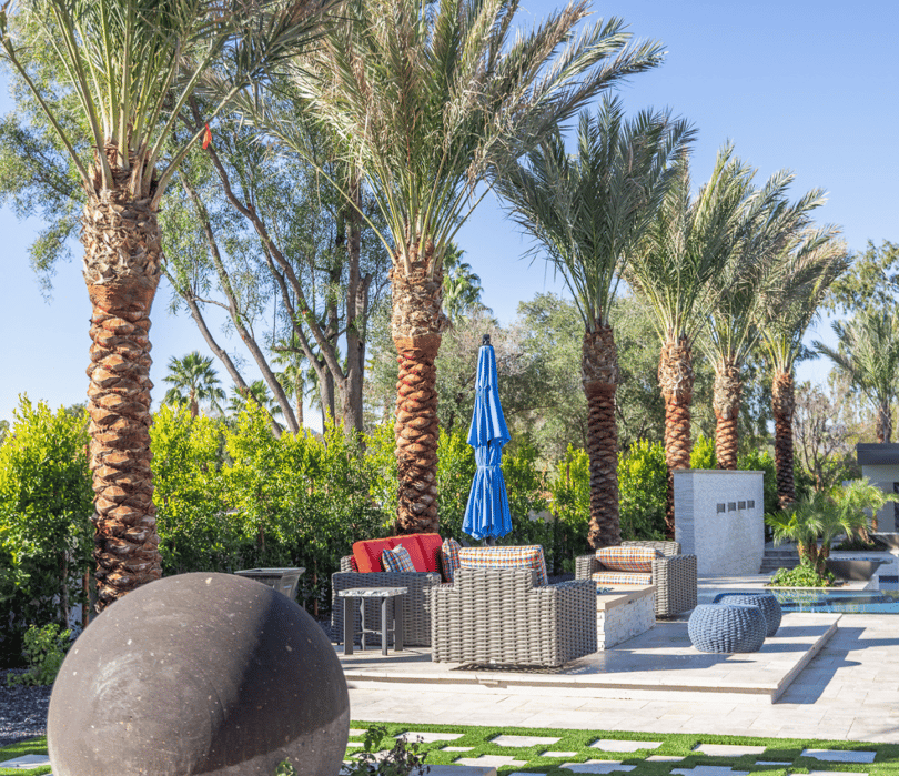 The Balance Between Beauty and Safety: Dealing with Exposed Tree Roots