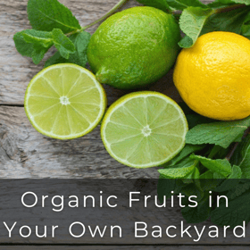 organic fruits in your own backyard