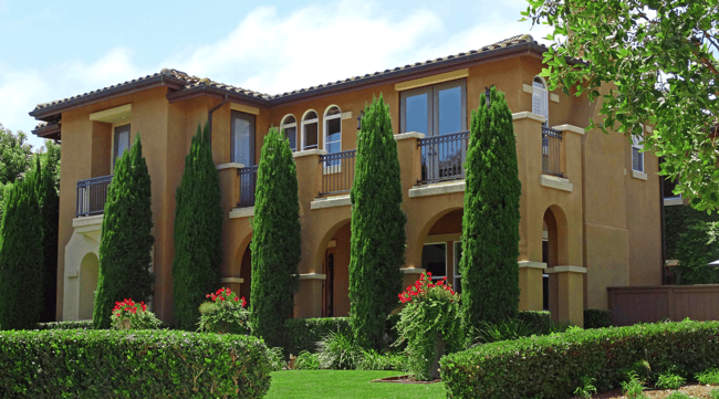 italian cypress in front yard landscaping