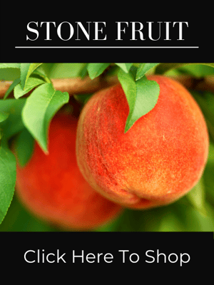 Stone Fruit Trees, Peaches, Plum, Nectarine, and More!