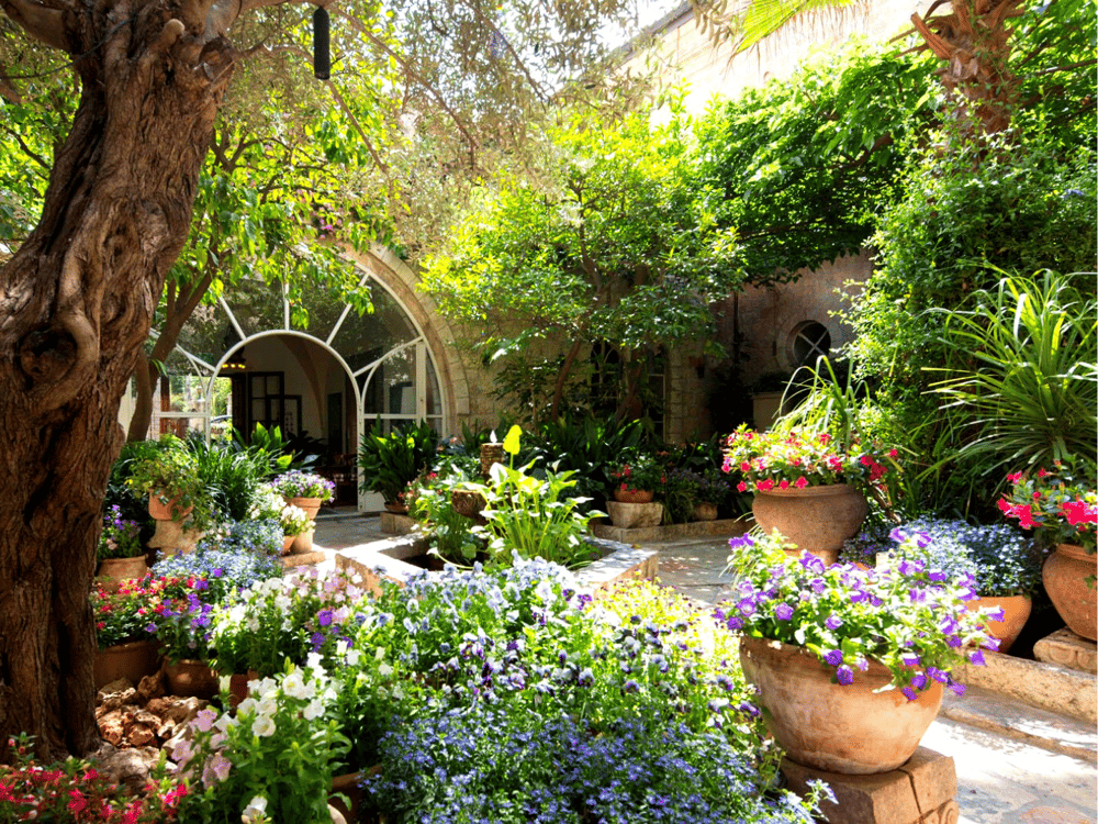10 LANDSCAPING TIPS TO ADD CURB APPEAL & VALUE TO YOUR HOME