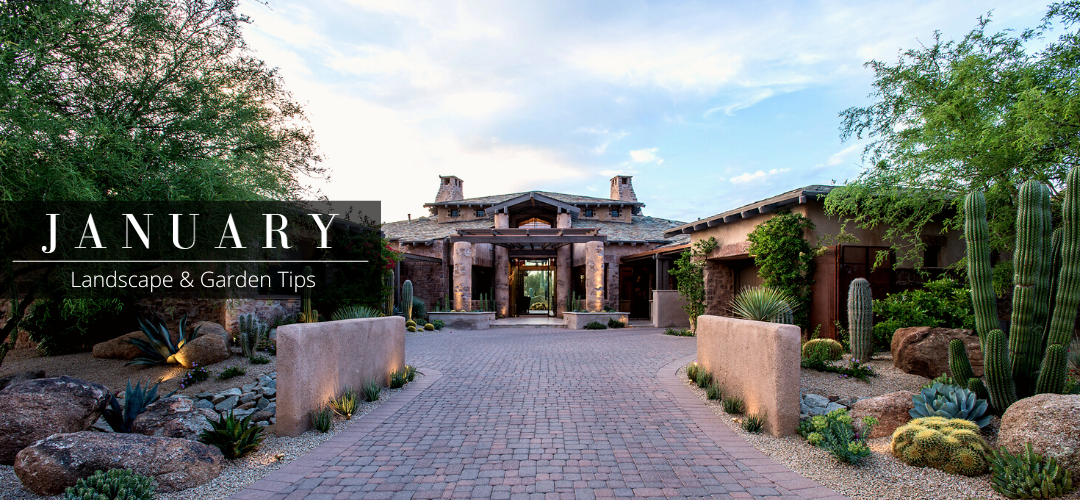 Arizona Luxury Landscape - January Landscape & Garden Tips Header