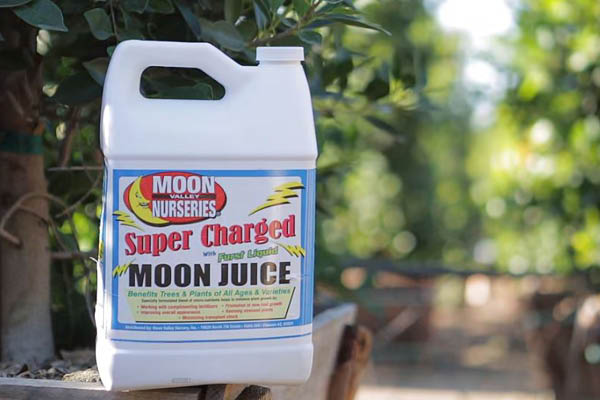 bottle of moon juice moon valley nurseries