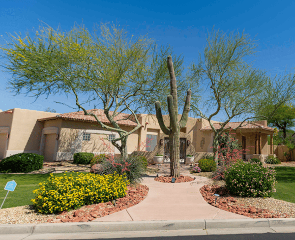 Landscape front yard arizona