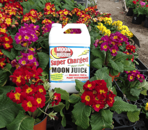 Super Moon Juice nutrient supplement for plants