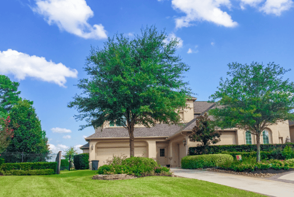 Texas Live Oak Landscape-1