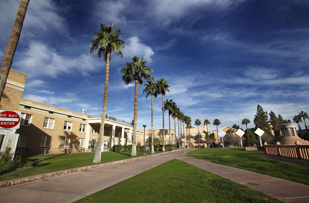 AZ_campus_path_palms