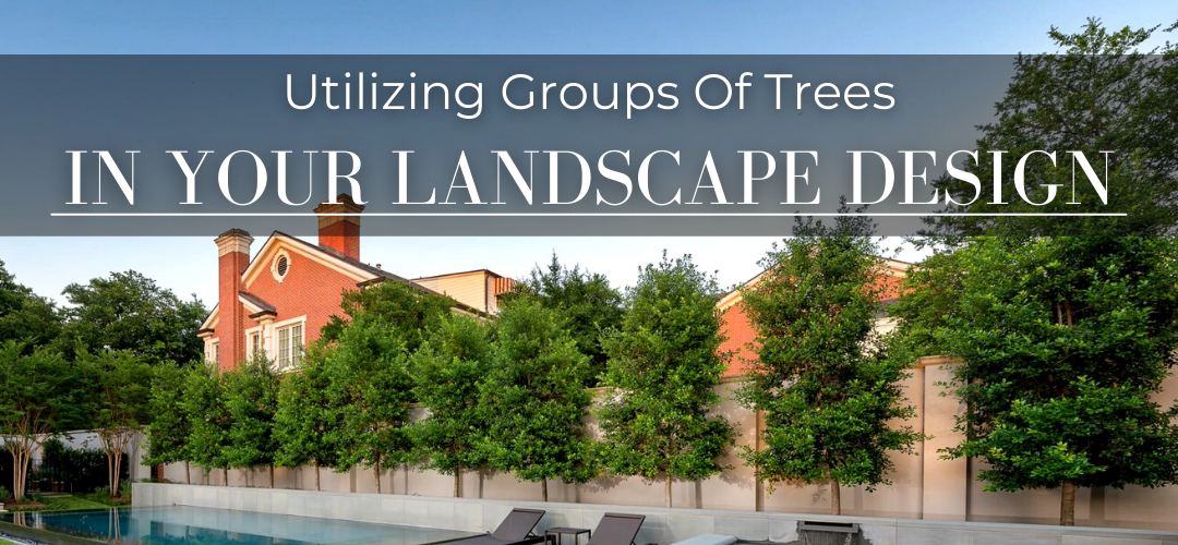 Best Uses for trees in large groups