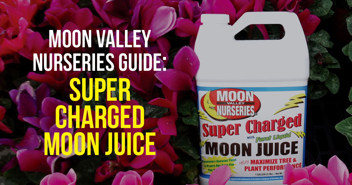 Moon Valley Nurseries Guide Super Charged Moon Juice
