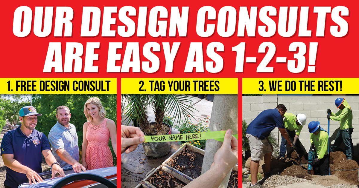 Free Landscape Design Consults with Free Planting
