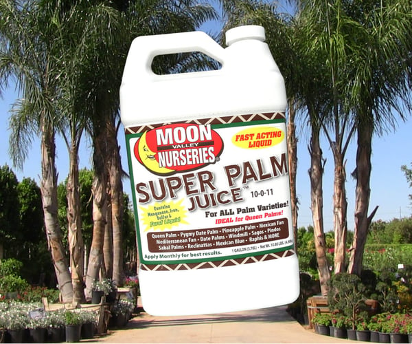 palm juice fertilizer bottle