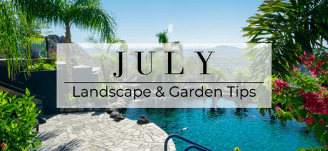 JULY LANDSCAPE & GARDEN TIPS