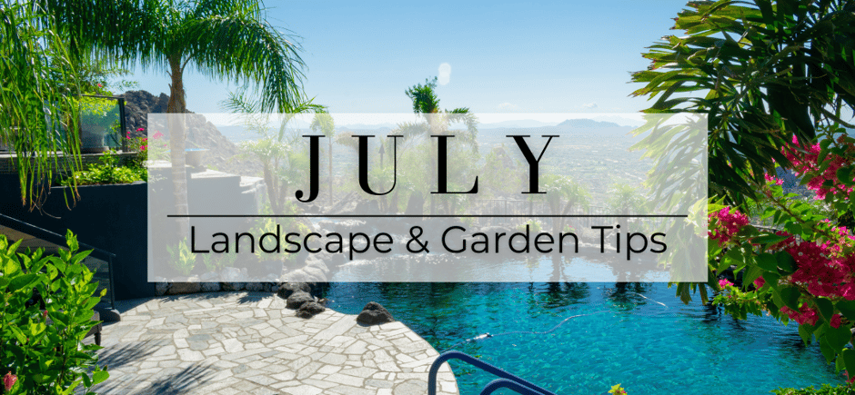 July landscape and garden tips header