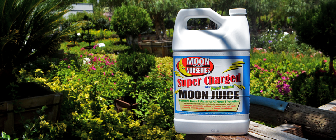 Super Charged Moon Juice™ at Moon Valley Nurseries