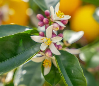 In Blog Creatives (46)