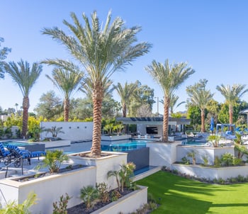 DATE PALMS