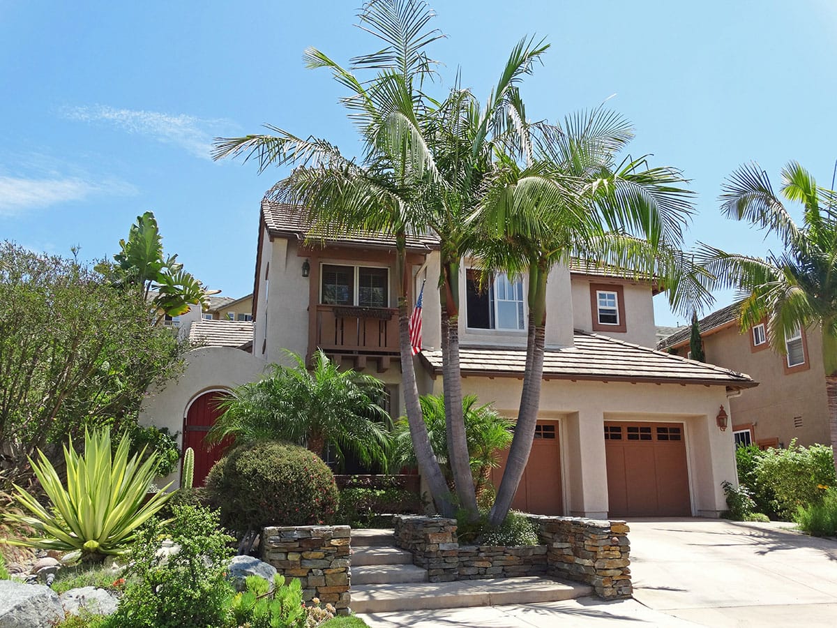 King Palms in Driveway_edited