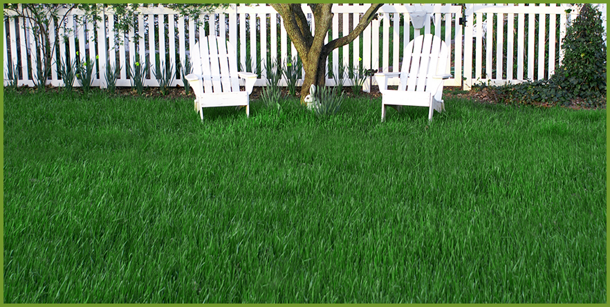 spring_lawn_care