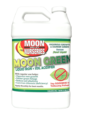 MOON GREEN CAL JUG ISO