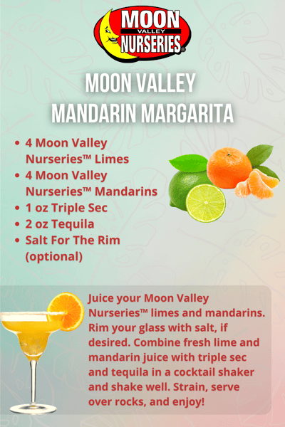 Mandarin Margarita