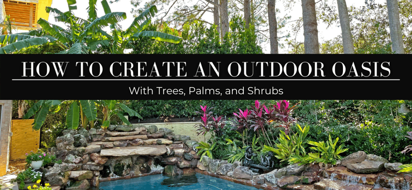 Create an outdoor oasis with trees, palms, and shrubs