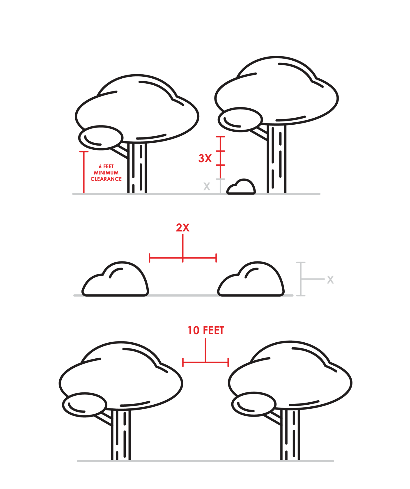 Moon Valley Nurseries_Verticle_Spacing_Fire_Prevention_Illustration