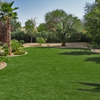 winter_lawn_beautiful winter_lawn_beautiful
