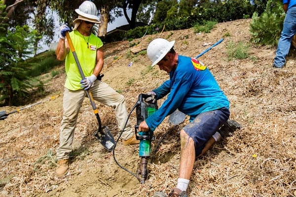 SoCal_Moon_valley_professional_planting