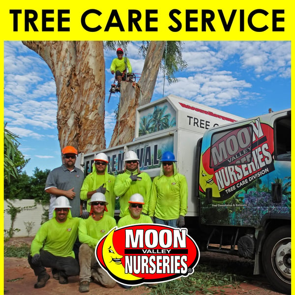 tree care, moon valley nurseries