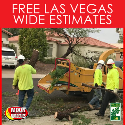 tree care, nevada, las vegas, moon valley nurseries