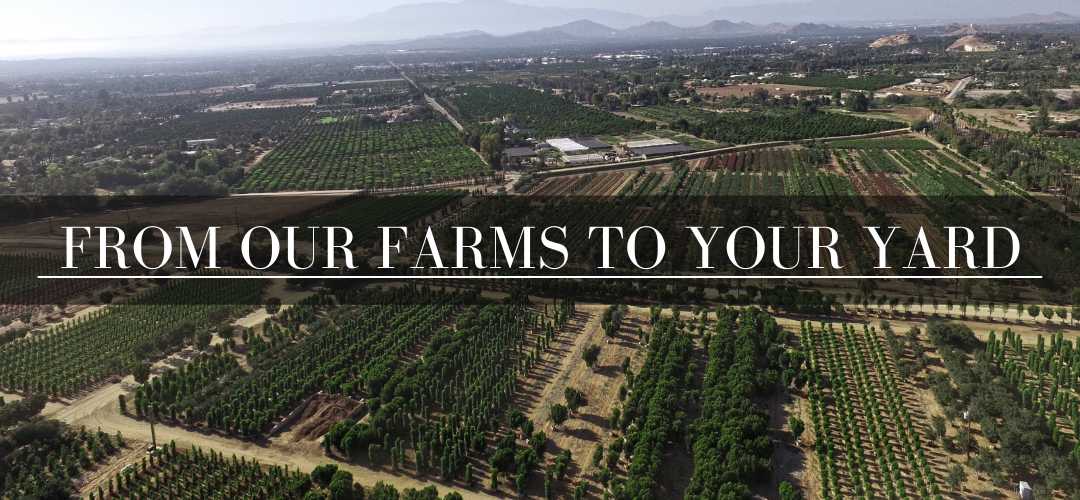 From Our Farms To Your Yard