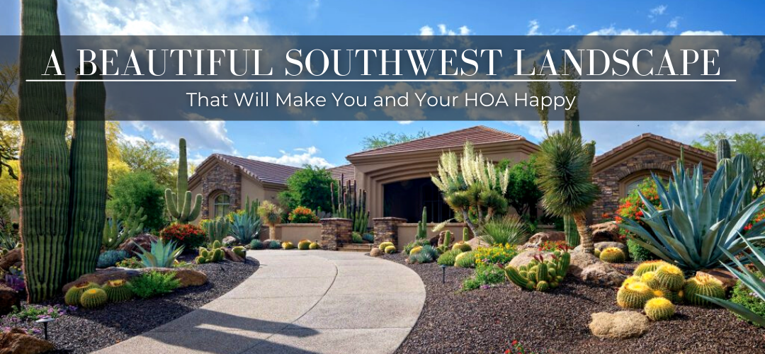 A Beautiful Southwest Landscape Design that will keep your HOA happy