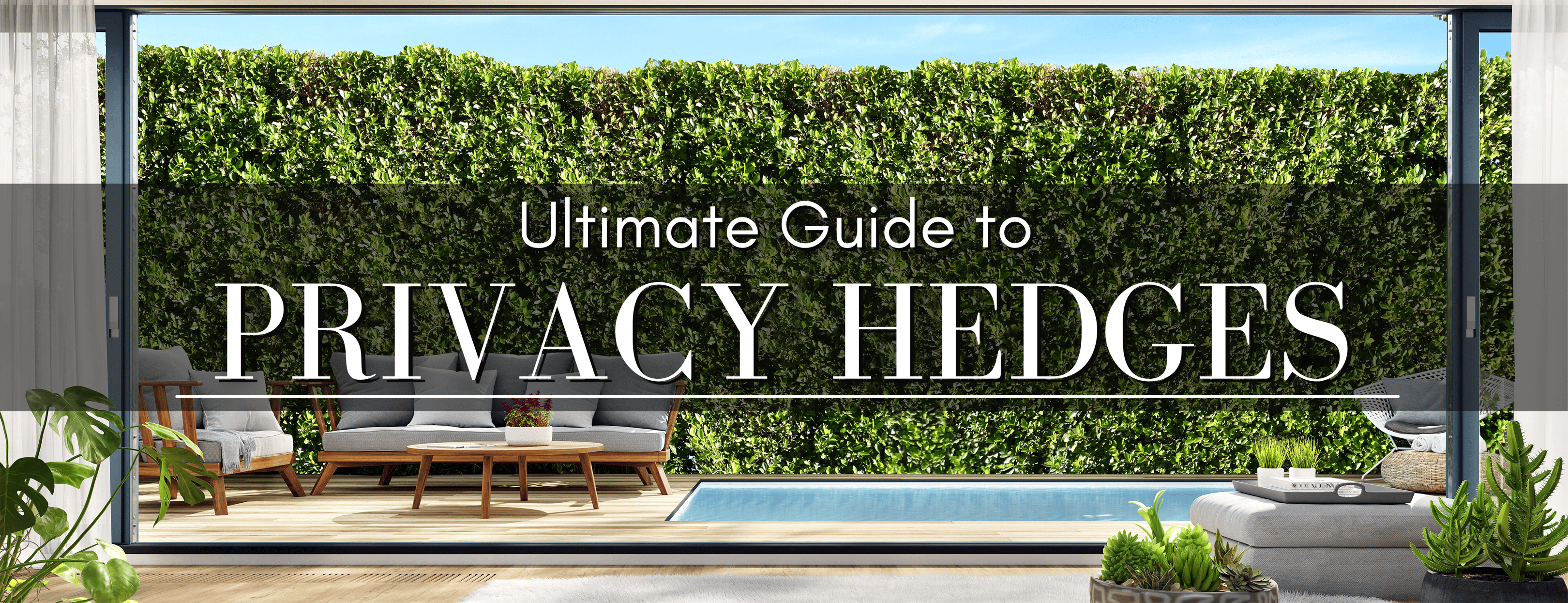 The Ultimate Guide to Privacy Hedges