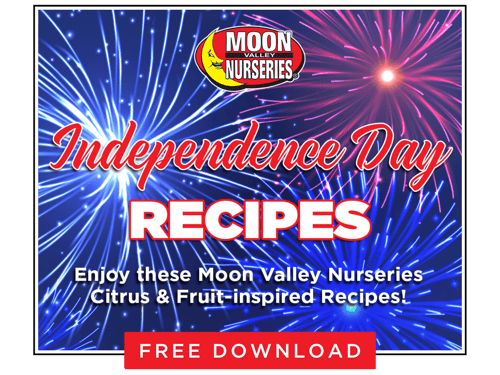 Free Download Recipes Card