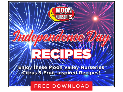 Free Download Recipes Card