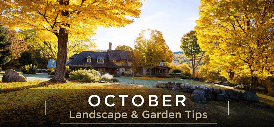 October landscape and garden tips header