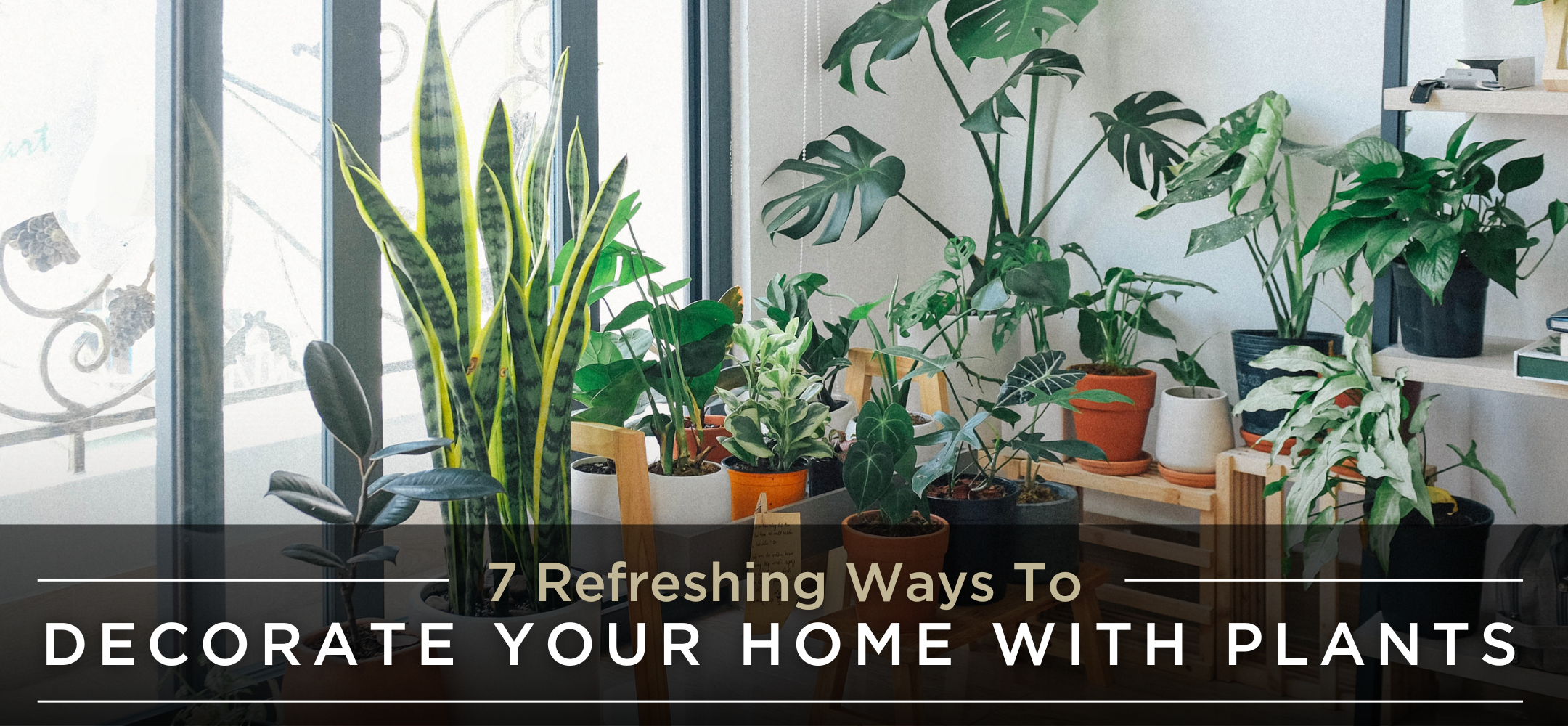 7 Refreshing ways to decorate your home with plants header image