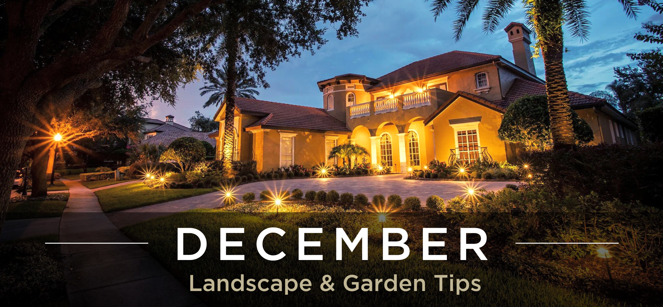 December Landscape & Garden Tips blog header