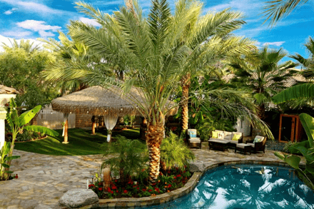 Tropical backyard design with palms around a pool