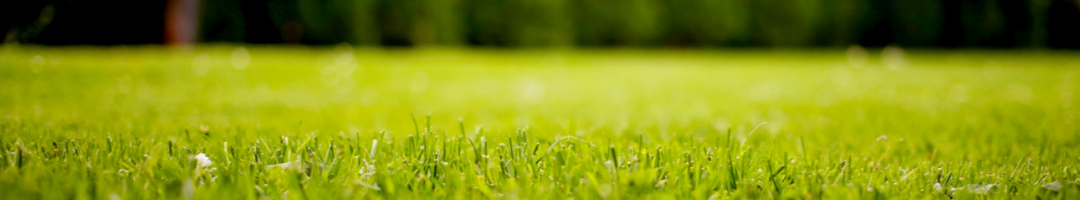 Green Spring Lawn care tips banner